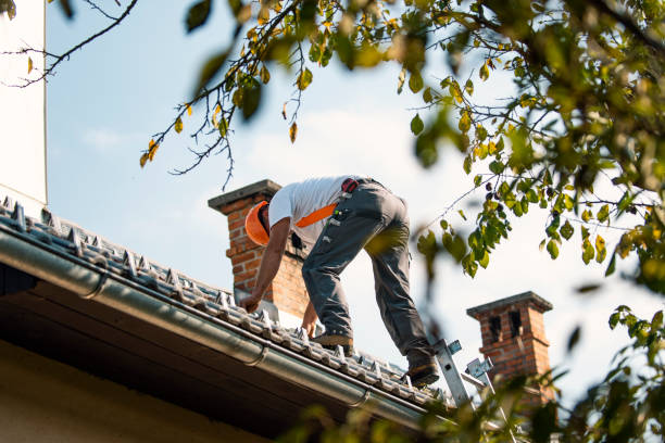 Best Roof Restoration Services  in Kingston, NJ