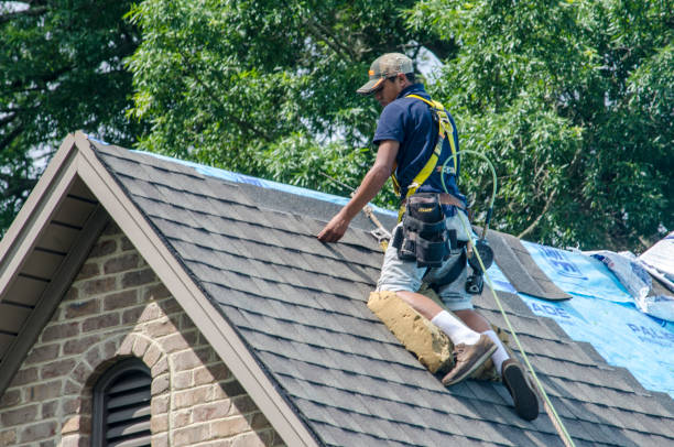 Best Residential Roofing Contractor  in Kingston, NJ